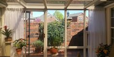 an open window with potted plants in it