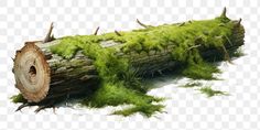 a log that is covered in grass and wood logs, hd png downloading