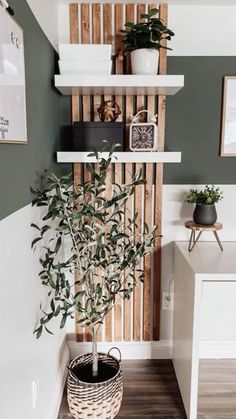 a potted plant sitting on top of a wooden shelf next to a white counter