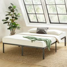 a bed sitting in front of a window next to a potted plant on top of a rug