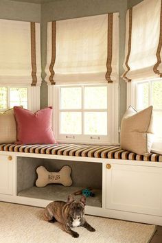 a dog laying on the floor in front of a window with two pillows and a pillow