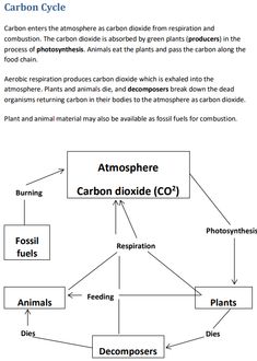 the carbon cycle worksheet is shown in this diagram, which shows how carbons are