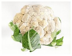 a painting of cauliflower with green leaves on the top and bottom, against a white background