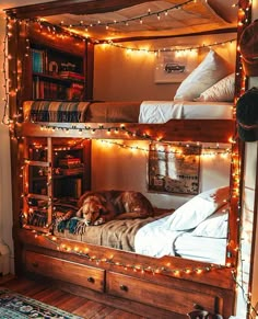 a dog laying on top of a bed with lights strung across the headboard and bottom bunk