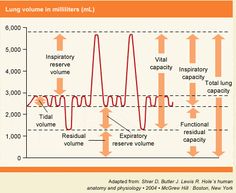 a diagram showing the various stages of life in an area that is very difficult to understand