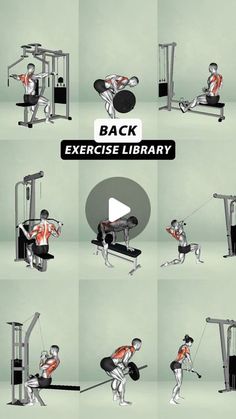 a series of images showing how to use the back exercise library for strength and flexibility