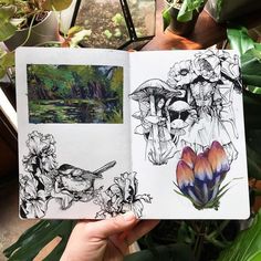 a hand holding up an open book with drawings on it and flowers in the background