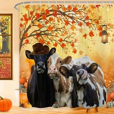 three cows standing next to each other in front of a fall scene with pumpkins