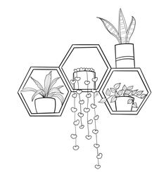 three hexagonals with plants and hearts hanging from them