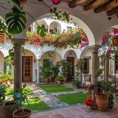 an outdoor courtyard with potted plants and flowers