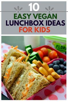 lunch box ideas for kids that are easy to make