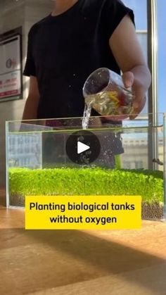 a man pouring water into a plant in a glass container on top of a wooden table