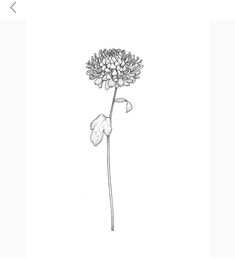 a black and white drawing of a flower