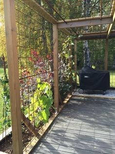 a wooden deck with plants growing on it and a bbq in the back ground