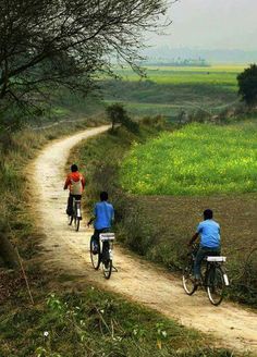 three people riding bikes down a dirt road