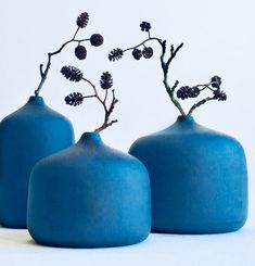 three blue vases with small branches in them