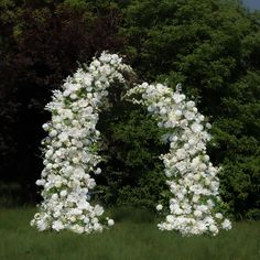 an arch made out of white flowers in the grass