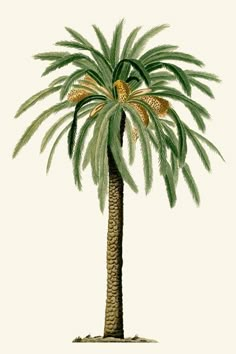 a drawing of a palm tree with green leaves and yellow flowers on the top of it