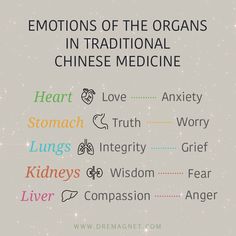 In Traditional Chinese Medicine, our organs are associated with specific emotions.  Heart & Small Intestine: Love/Joy  Stomach & Spleen: Worry/Nervousness  Lungs & Large Intestine: Grief/Sadness  Kidney & Urinary Bladder: Fear   Liver & Gallbladder: Anger/Frustration Rain Healing, Healing Emotions, Urinary Bladder, Suppressed Emotions, How To Control Emotions, Belly Breathing, Body Clock, Everything Is Energy