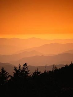 the sun is setting over the mountains in the distance with trees silhouetted against it