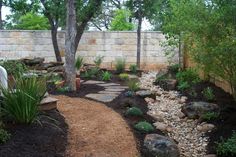 a garden with rocks and plants in it