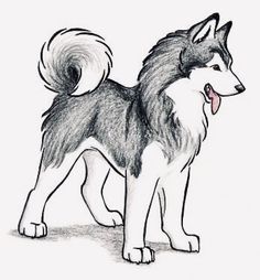 a drawing of a husky dog with his tongue out