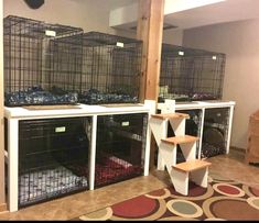 several cages are lined up on the floor in front of a stair case that leads to another room