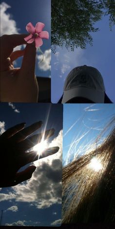 four different pictures of the same person's hand holding a pink flower in their left hand