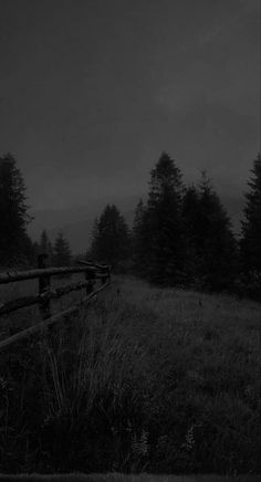 a black and white photo of a fence in a field with trees on the other side