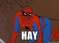 spider - man with caption that says hey