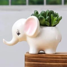 an elephant planter with plants in it's trunk