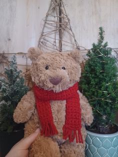 a brown teddy bear wearing a red scarf next to potted plants and a plant hanger