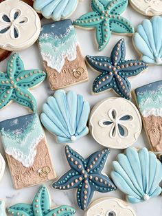 decorated cookies with shells, sand dollars and starfish