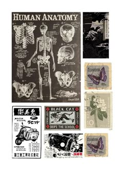 various stamps with pictures of human anatomy on them