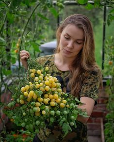 a woman holding a bush full of yellow berries