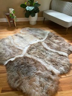 a living room with a couch, chair and rug