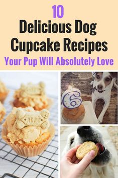 the top ten delicious dog cupcake recipes for your pup will absolutely love them all