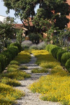 the path is lined with yellow flowers and trees in front of an orange brick building