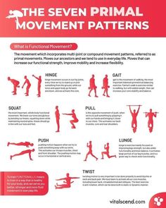 the seven primal movement patterns for women and men are shown in red, with text that reads