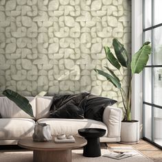 a white couch sitting in front of a window next to a potted plant