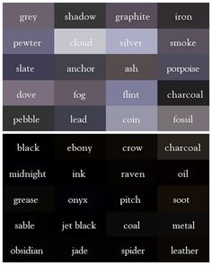 different types of words that are in the same color and font scheme for each word