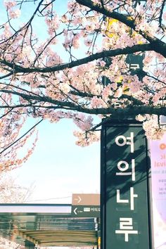 a sign that is in front of a tree with flowers on it and an overpass