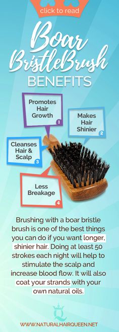 In this article, you’ll find out all about boar bristle brushes so you can decide whether to include them in your routine. Keep reading if you want to know whether boar brushes are good or bad for natural hair. Natural Hair Care | Natural Hair Tips | Healthy Hair | Hair Brush | Naturals | Natural Hair Care Regimen | Natural Hair Style  #naturalhair #tips #healthyhair #naturalhairstyle Brush Curly Hair, Natural Hair Care Regimen, Hair Care Natural, Boar Brush, Relaxed Hair Care, Natural Hair Care Routine, Boar Bristle Brush, Natural Hair Regimen, Hair Care Regimen