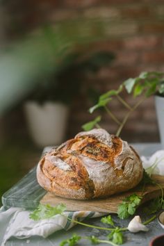 a loaf of bread sitting on top of a cutting board next to a potted plant