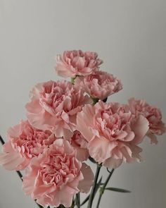 pink carnations in a glass vase on a table