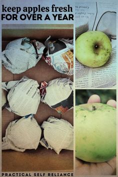 there are pictures of apples and newspaper in this collage with the words, keep apples fresh for over a year practical self reliance