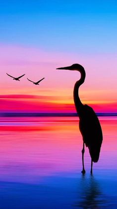 Simple Silhouette Art, Sunrise Art Painting, Sunrise Paintings, Heron Silhouette, Sunset Painting Acrylic, Sunrise Painting, Sunset Silhouette, Silhouette Painting