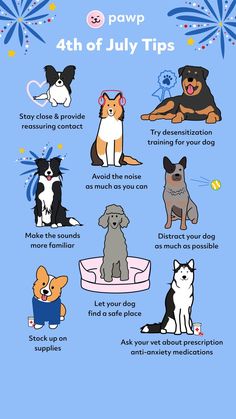 a poster with different types of dogs on it