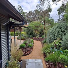 a garden with lots of trees and plants on the side of the house, next to a walkway