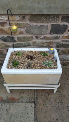 a potted planter sitting next to a stone wall